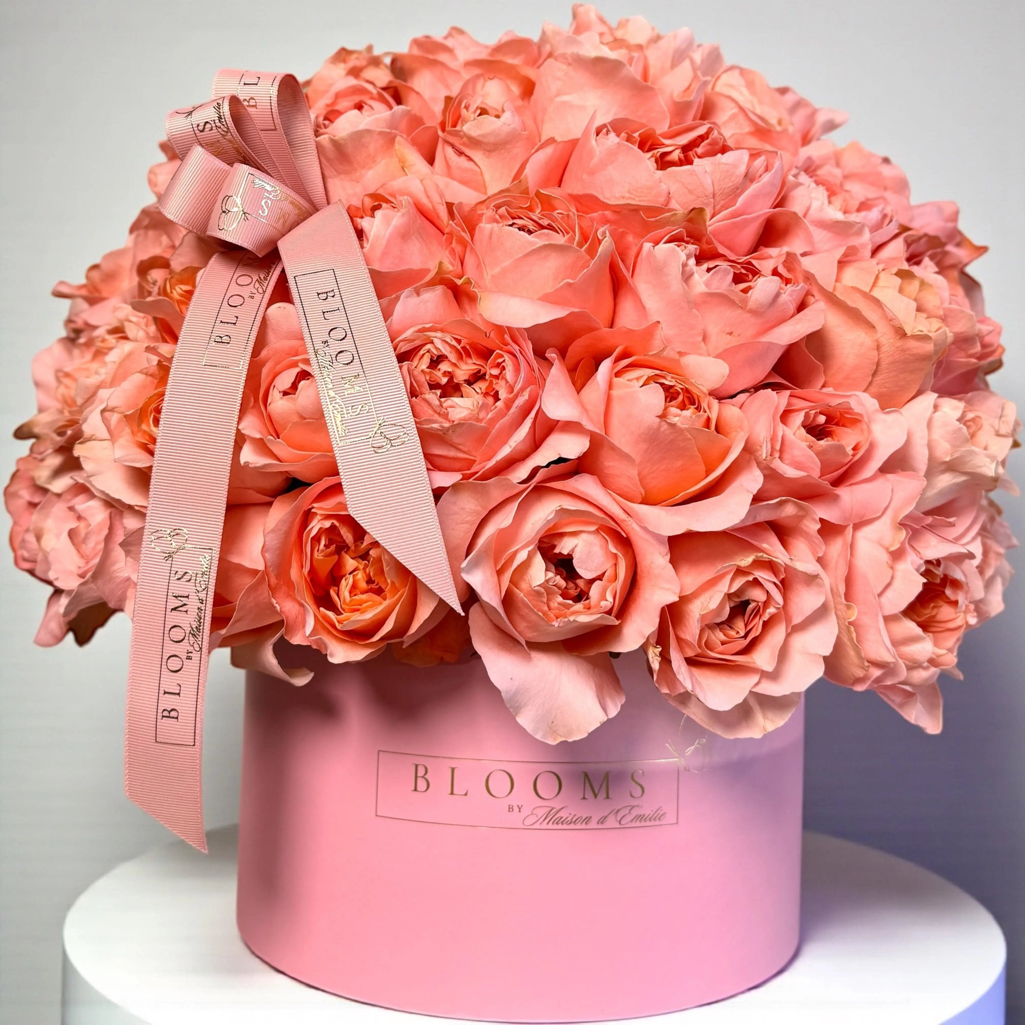 Coral Flame Roses Box