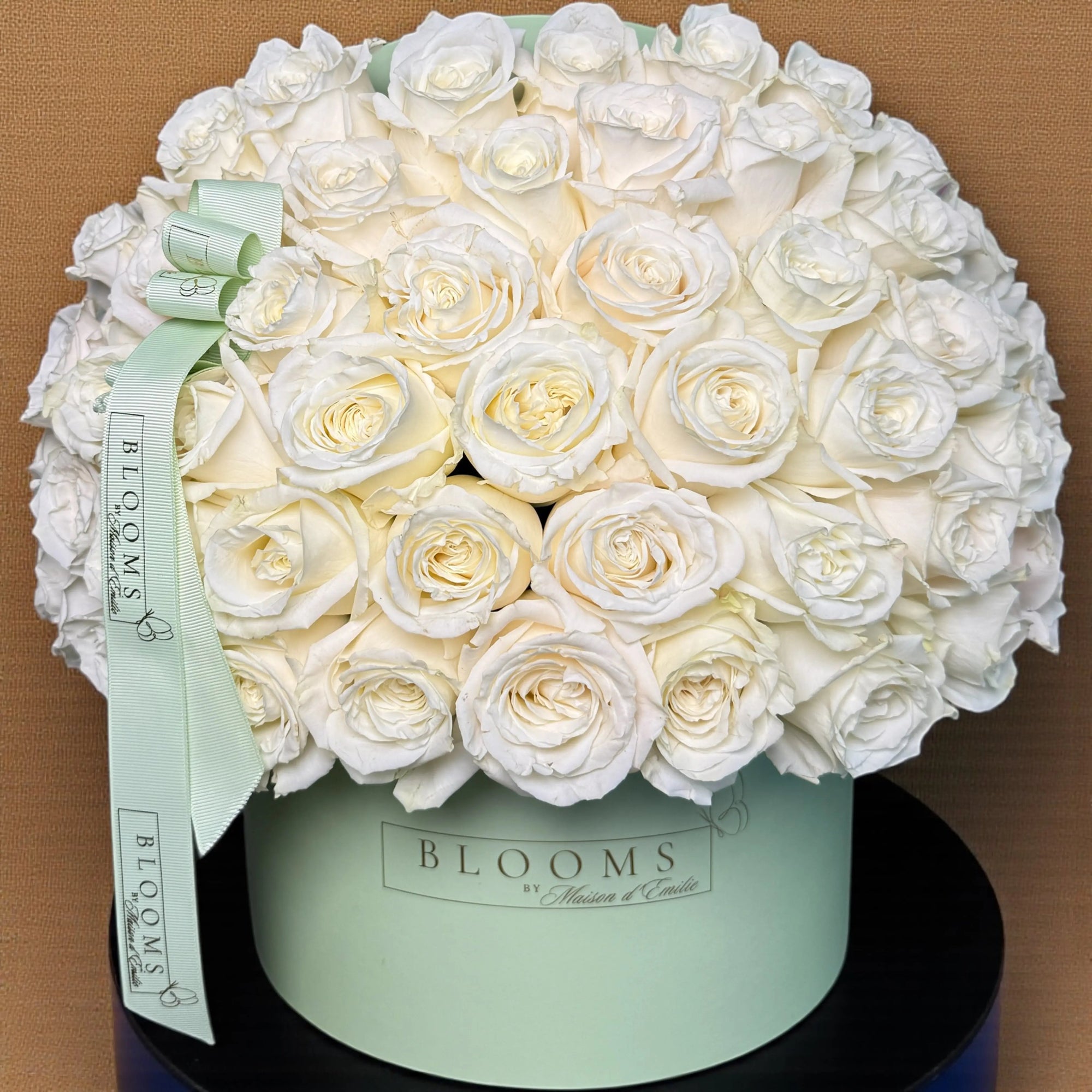 Ivory Whisper Box