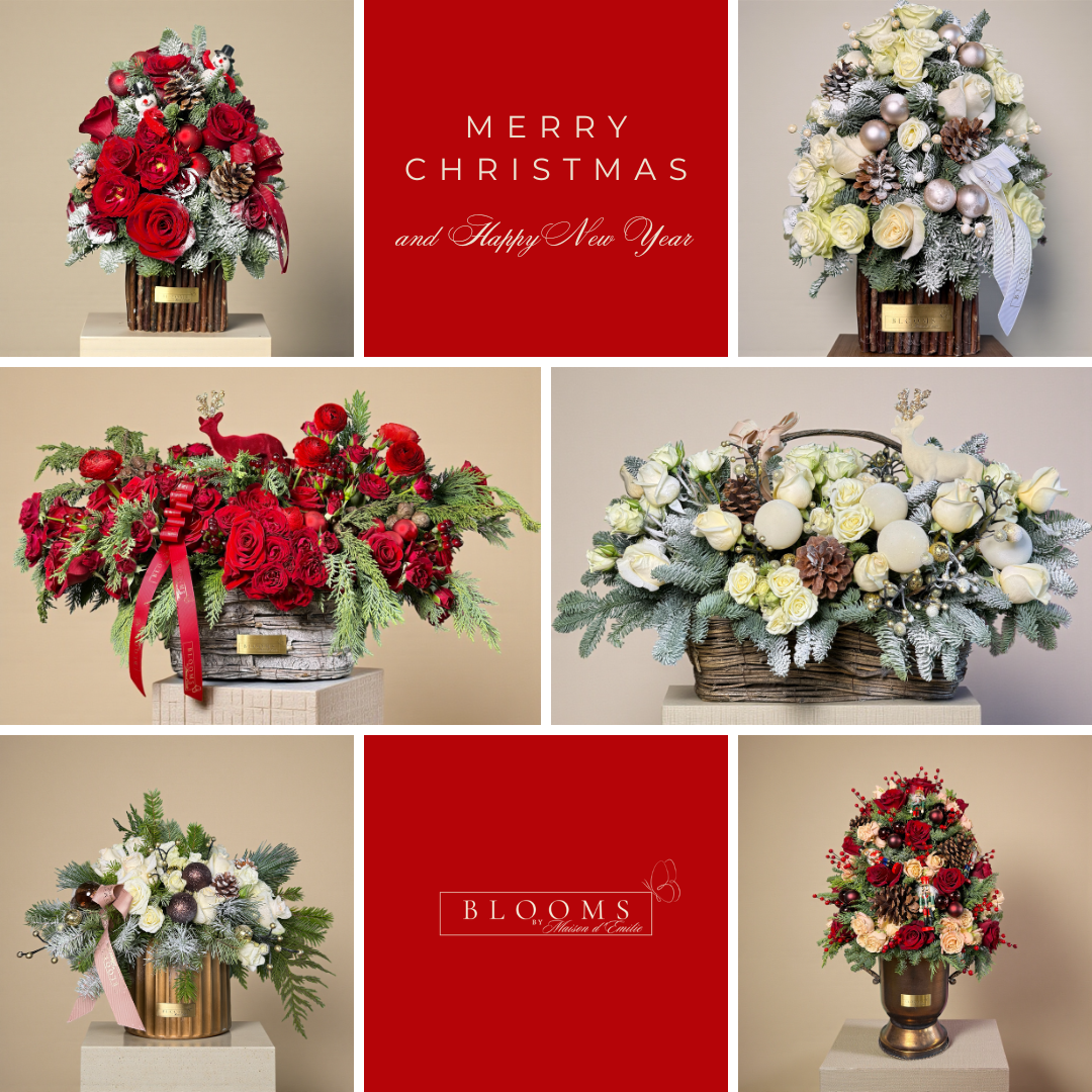 Christmas Collection