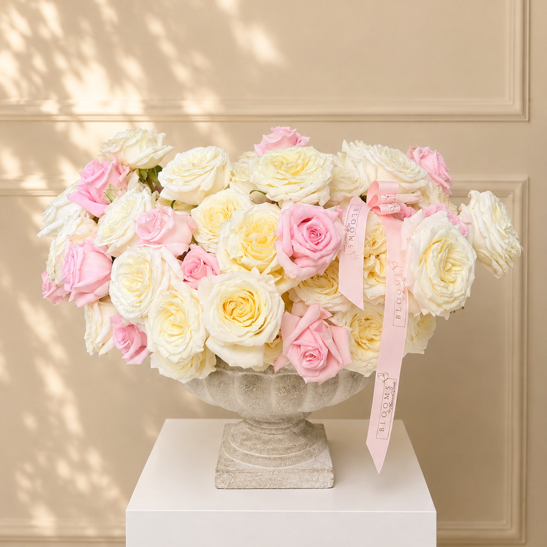 Blush & Ivory Signature