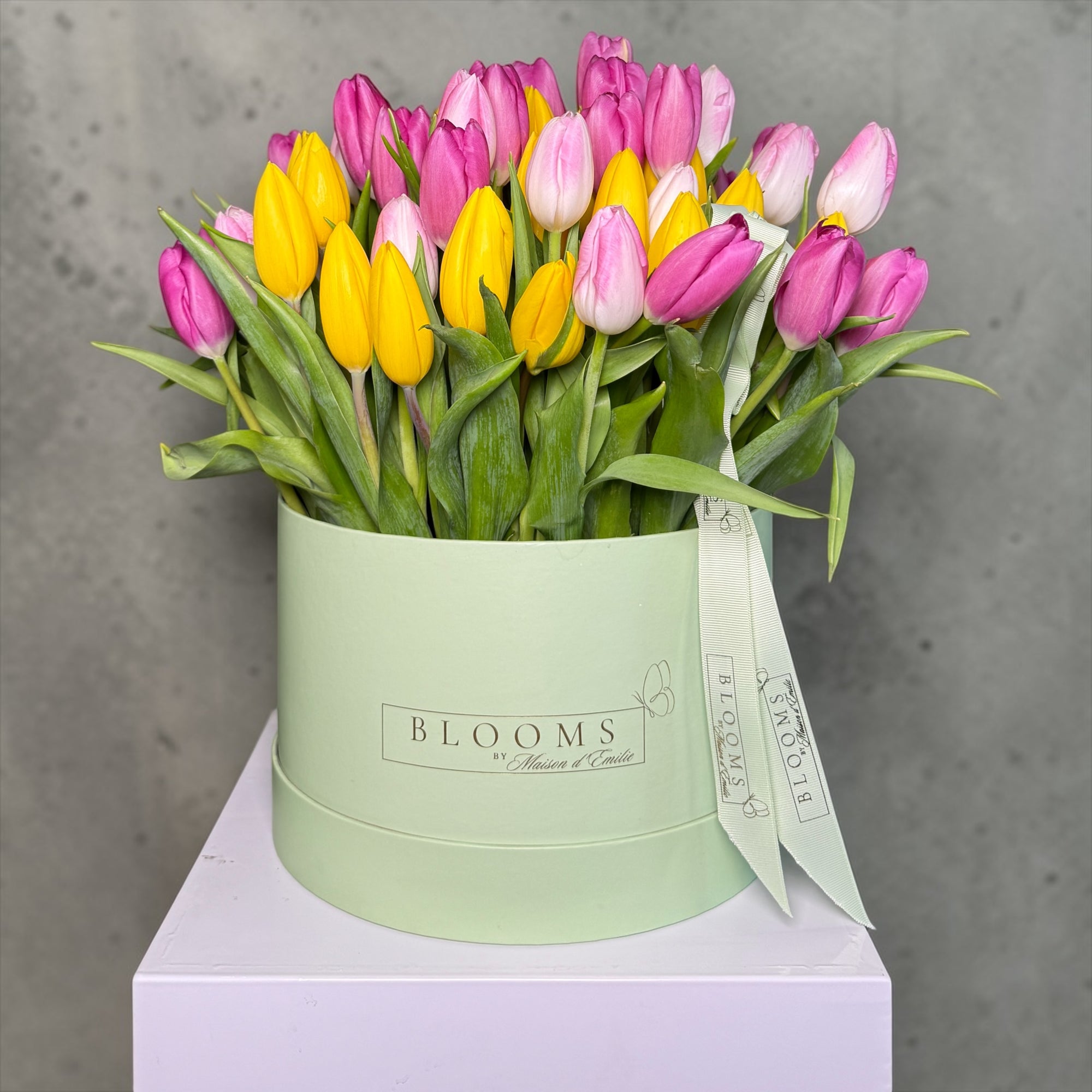 Blush & Sunshine Tulips