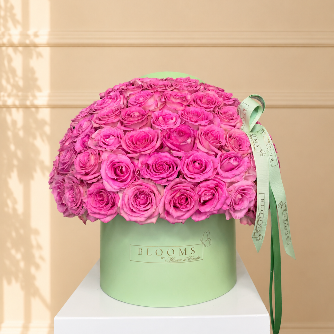 Pink Obsession