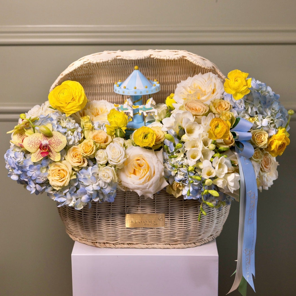 Baby Blue Carousel