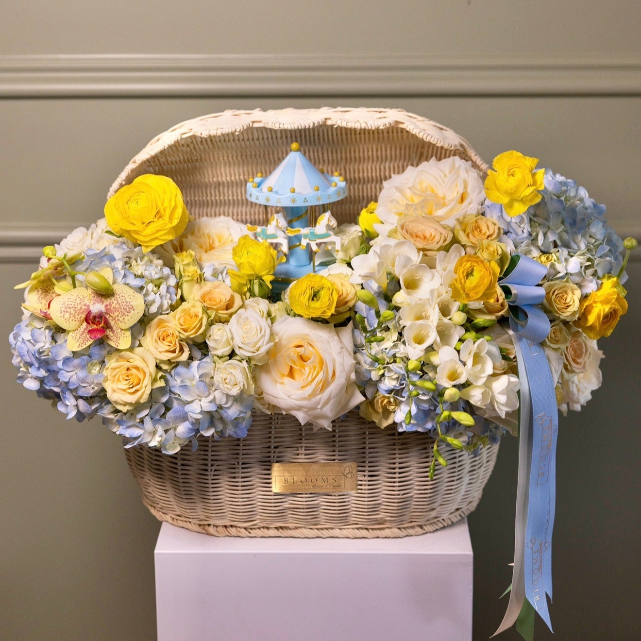 Baby Blue Carousel