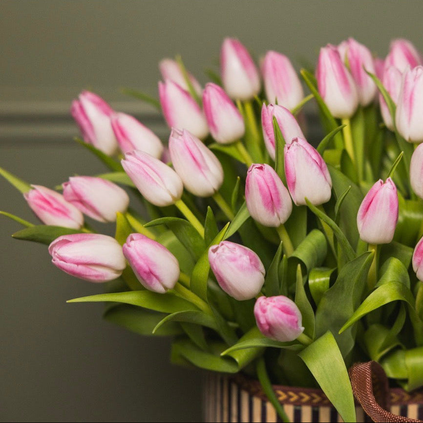 Pink Tulip Edit
