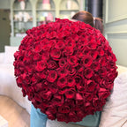 Scarlet Kiss Royale