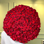 Scarlet Kiss Royale