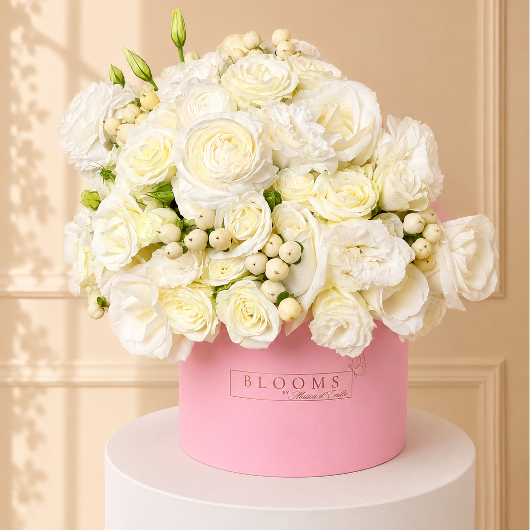 Ivory Cloud Box