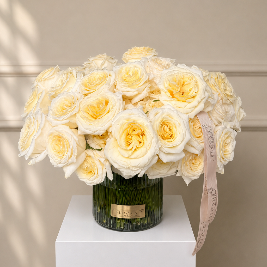 Ivory Signature Dome