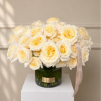 Ivory Signature Dome