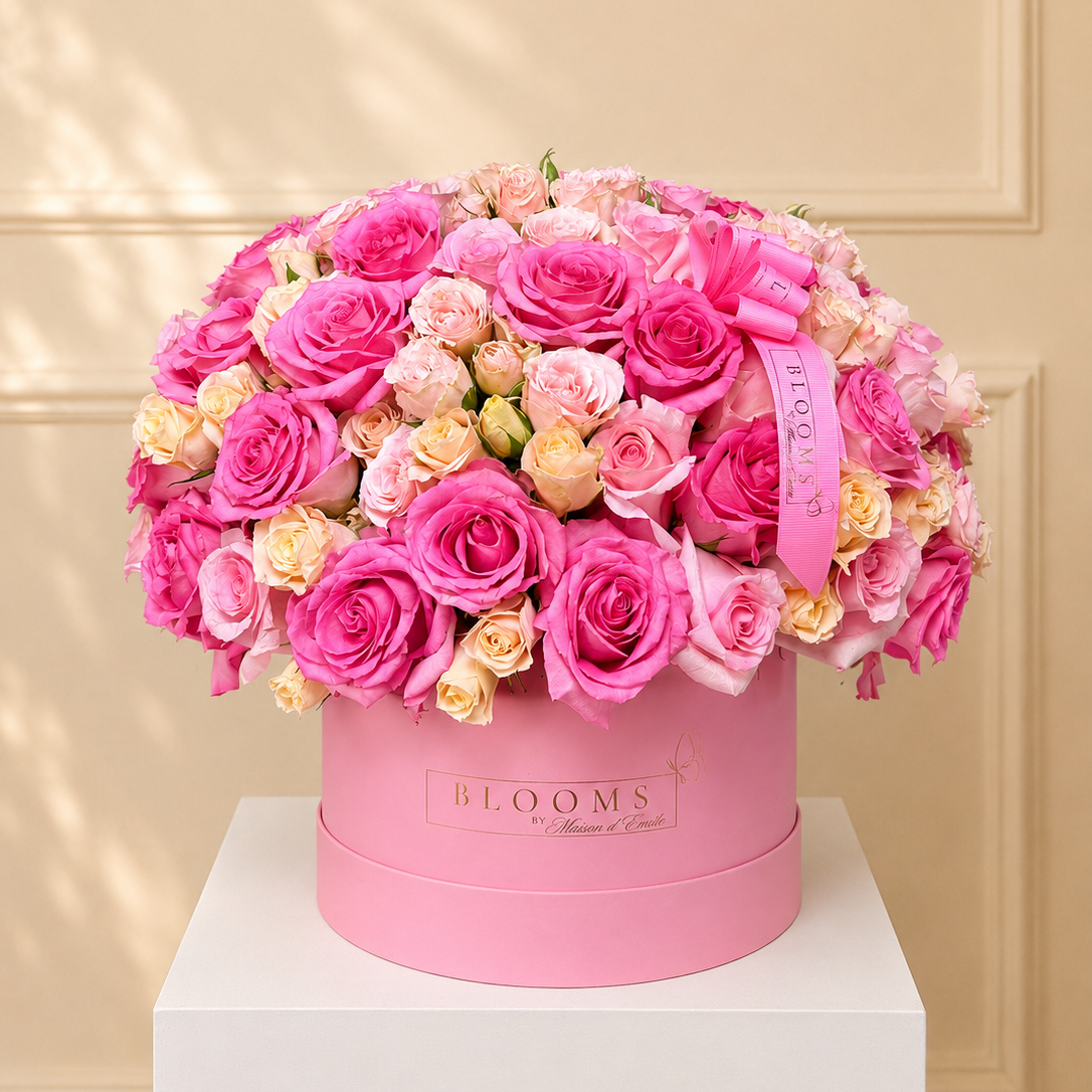 Blush Symphony Signature