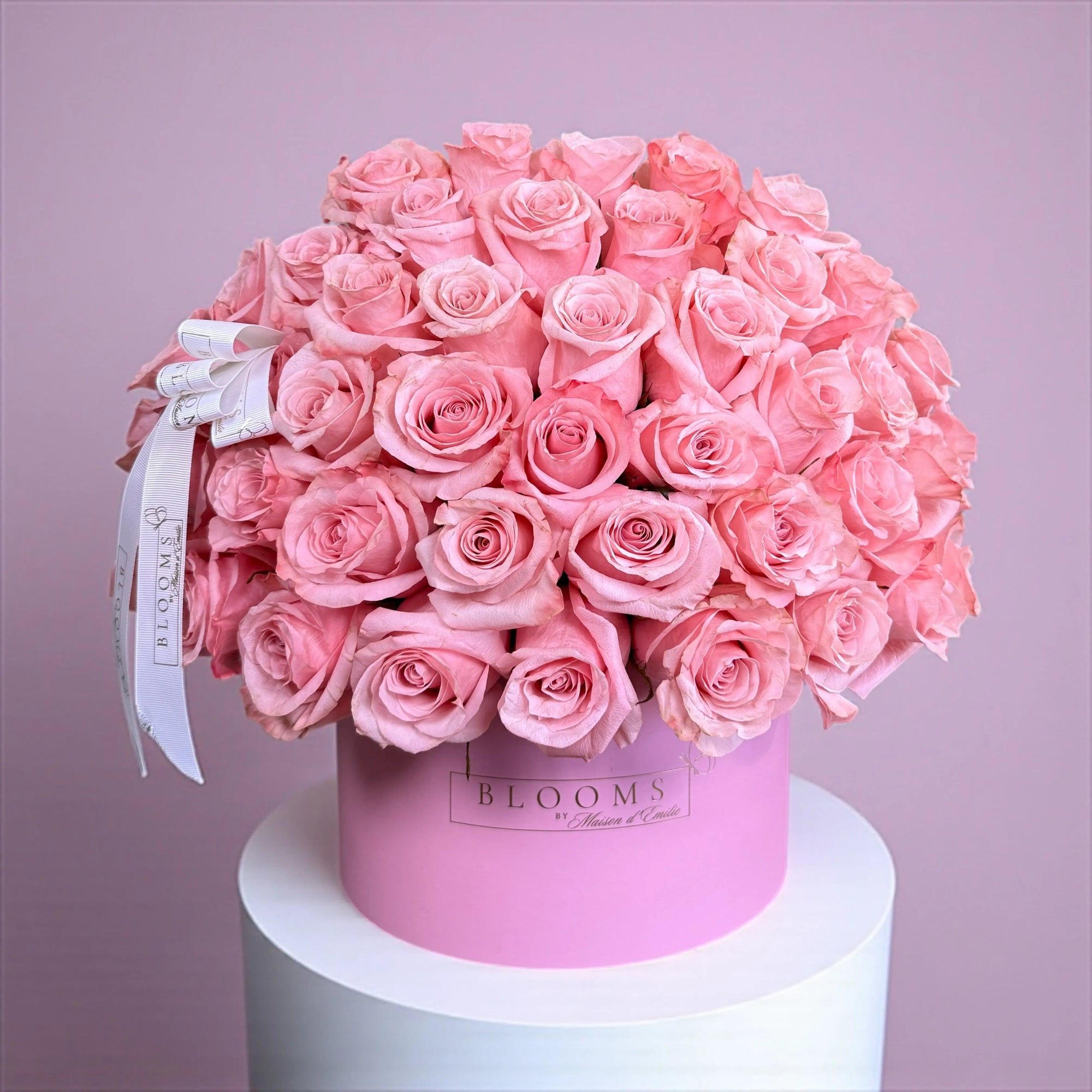 Rose Blush