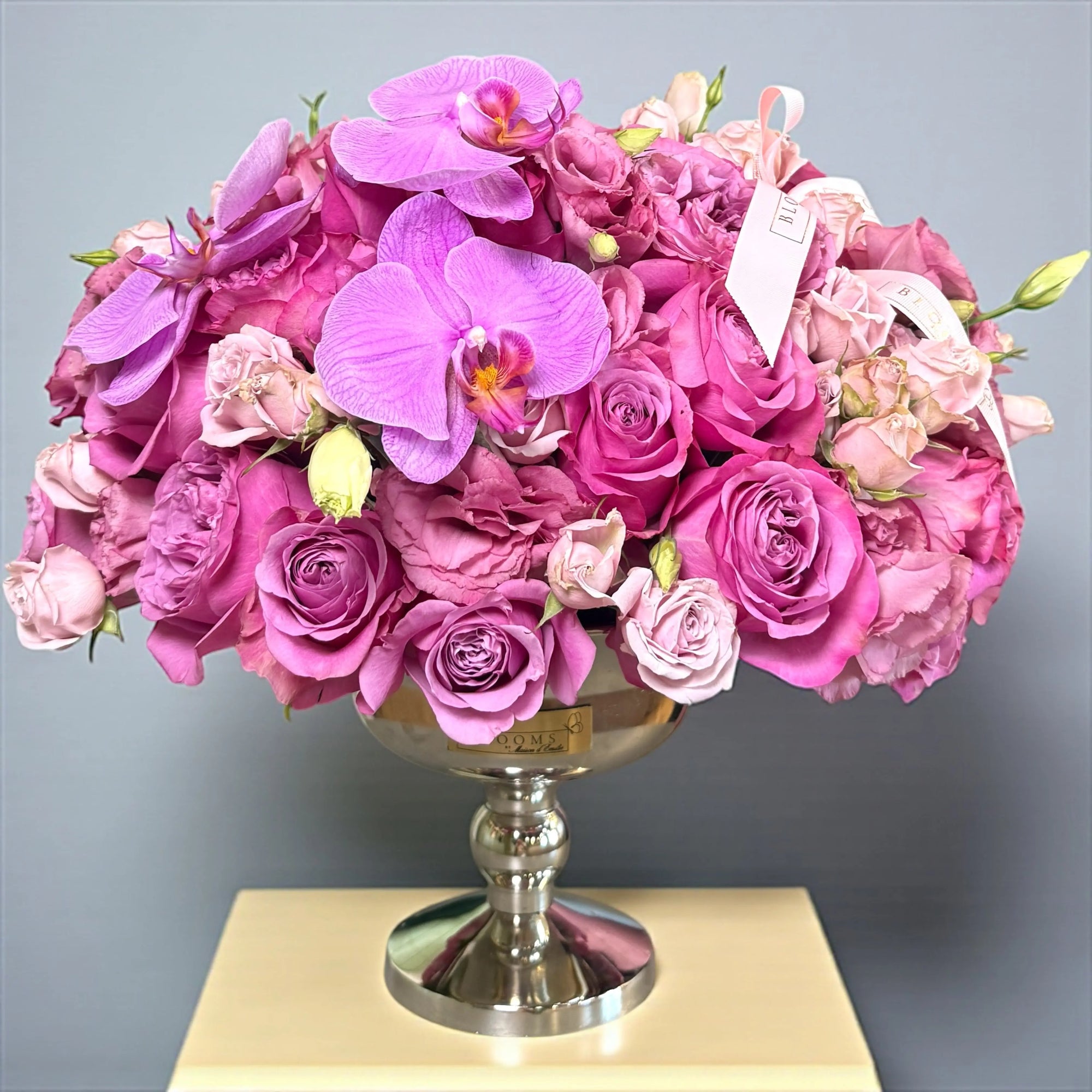 Haute Bloom No.2