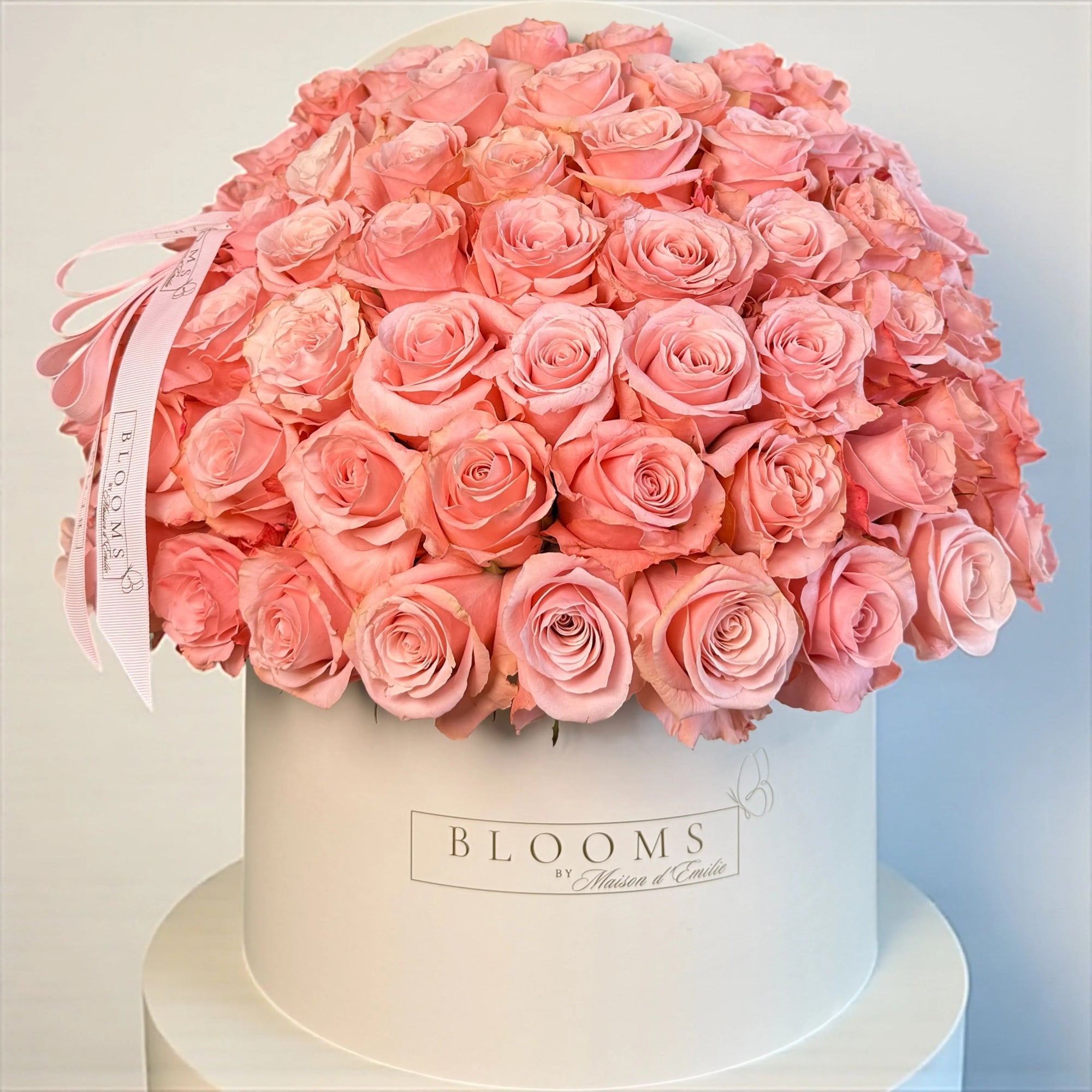Blush Symphony