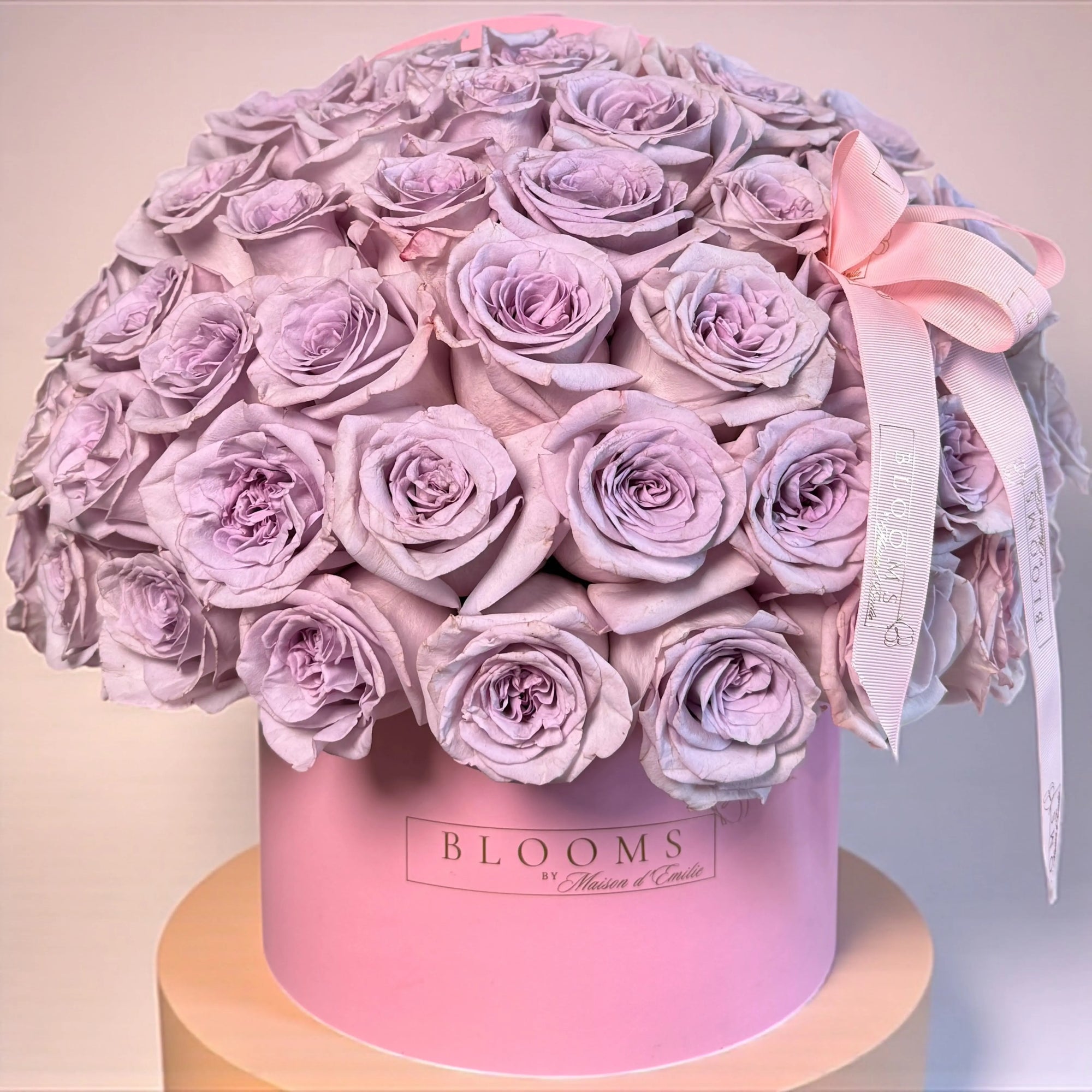 The Lilac Dome