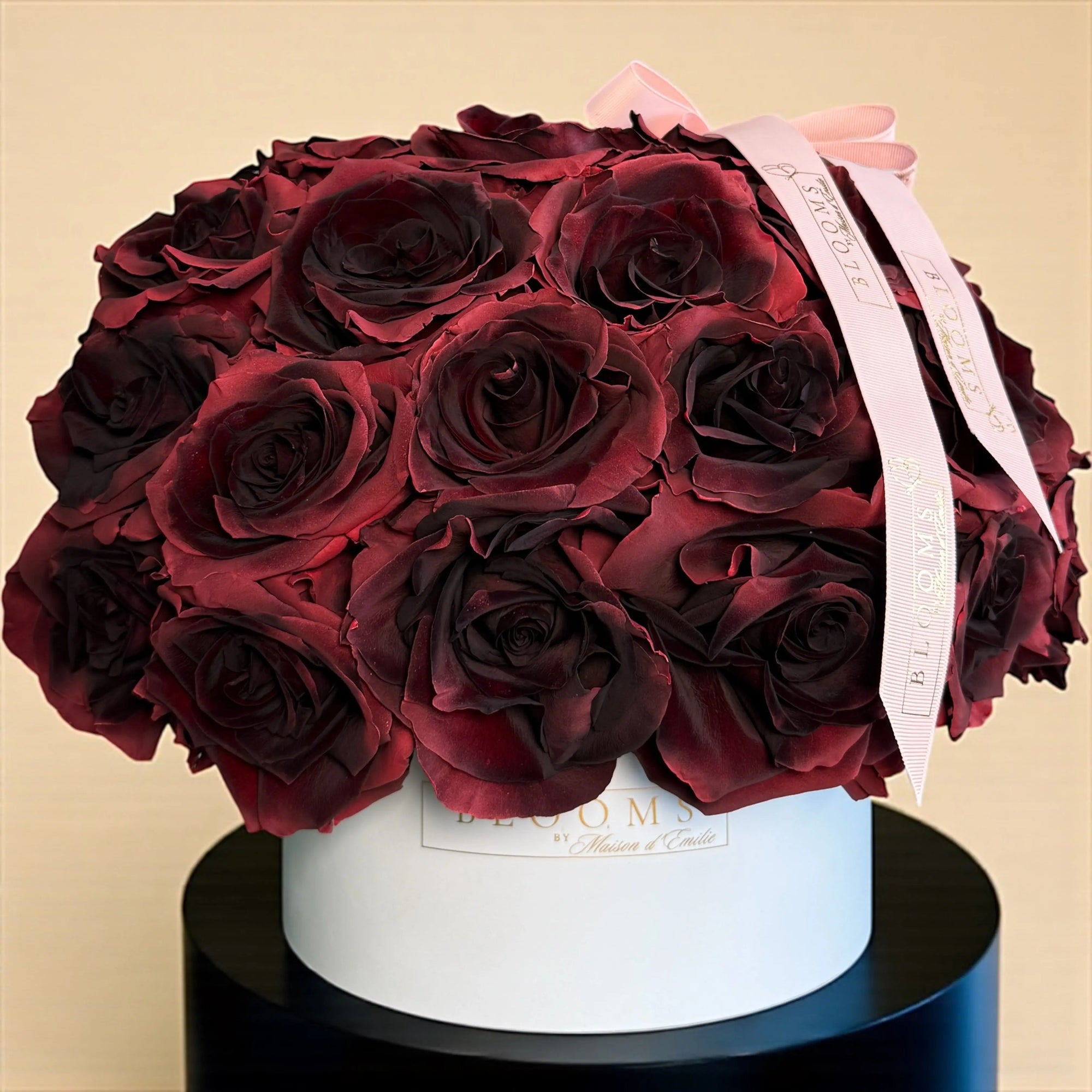 Velour Rouge