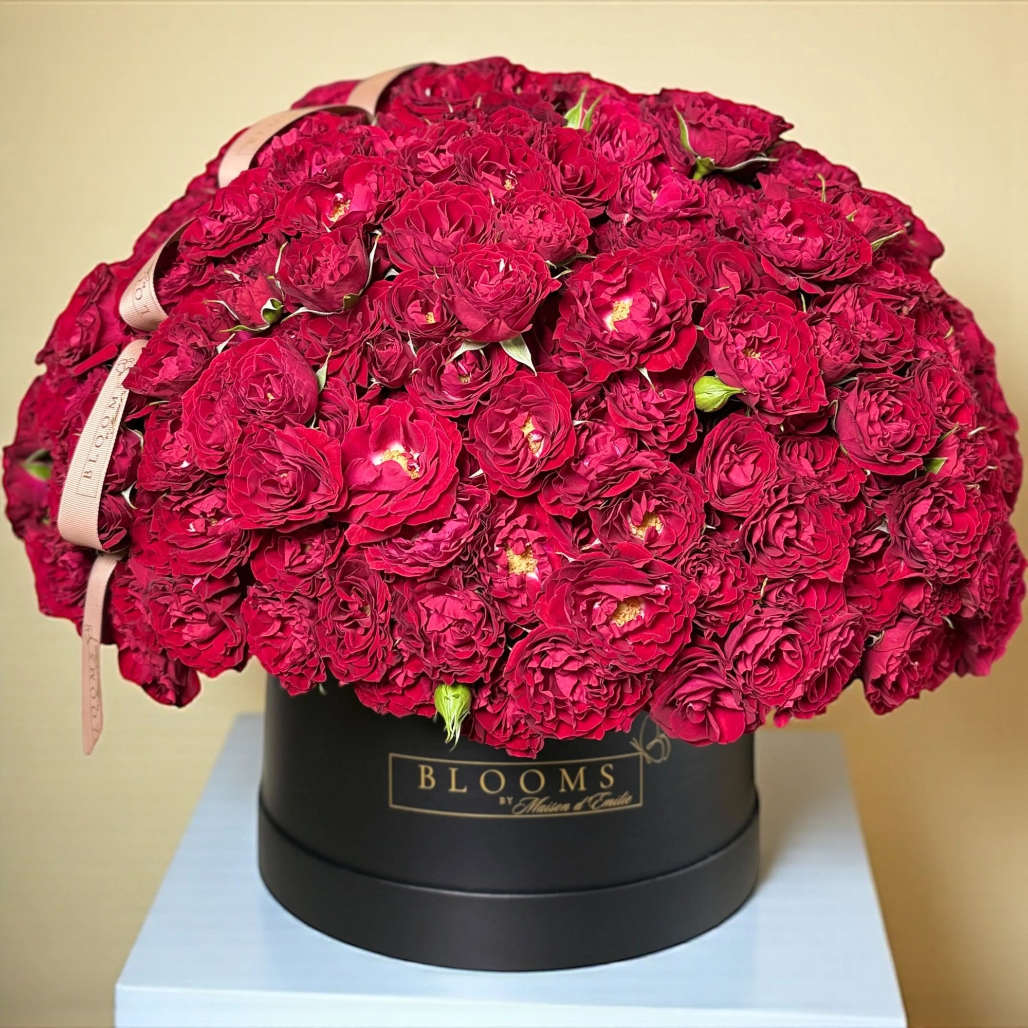 Velvet Symphony Box