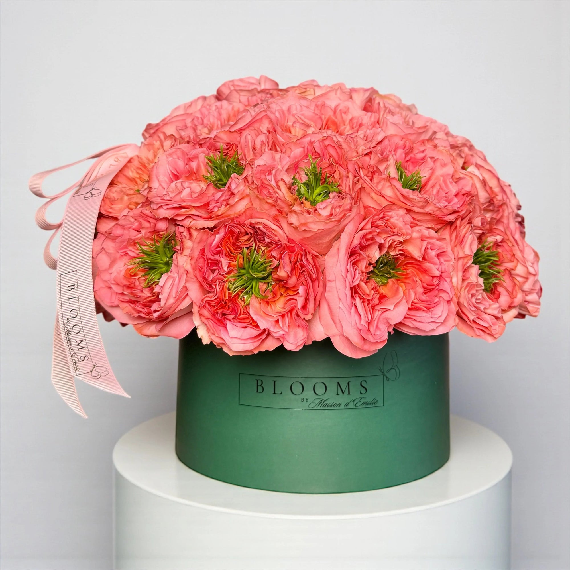 Mandarin Xpression Box