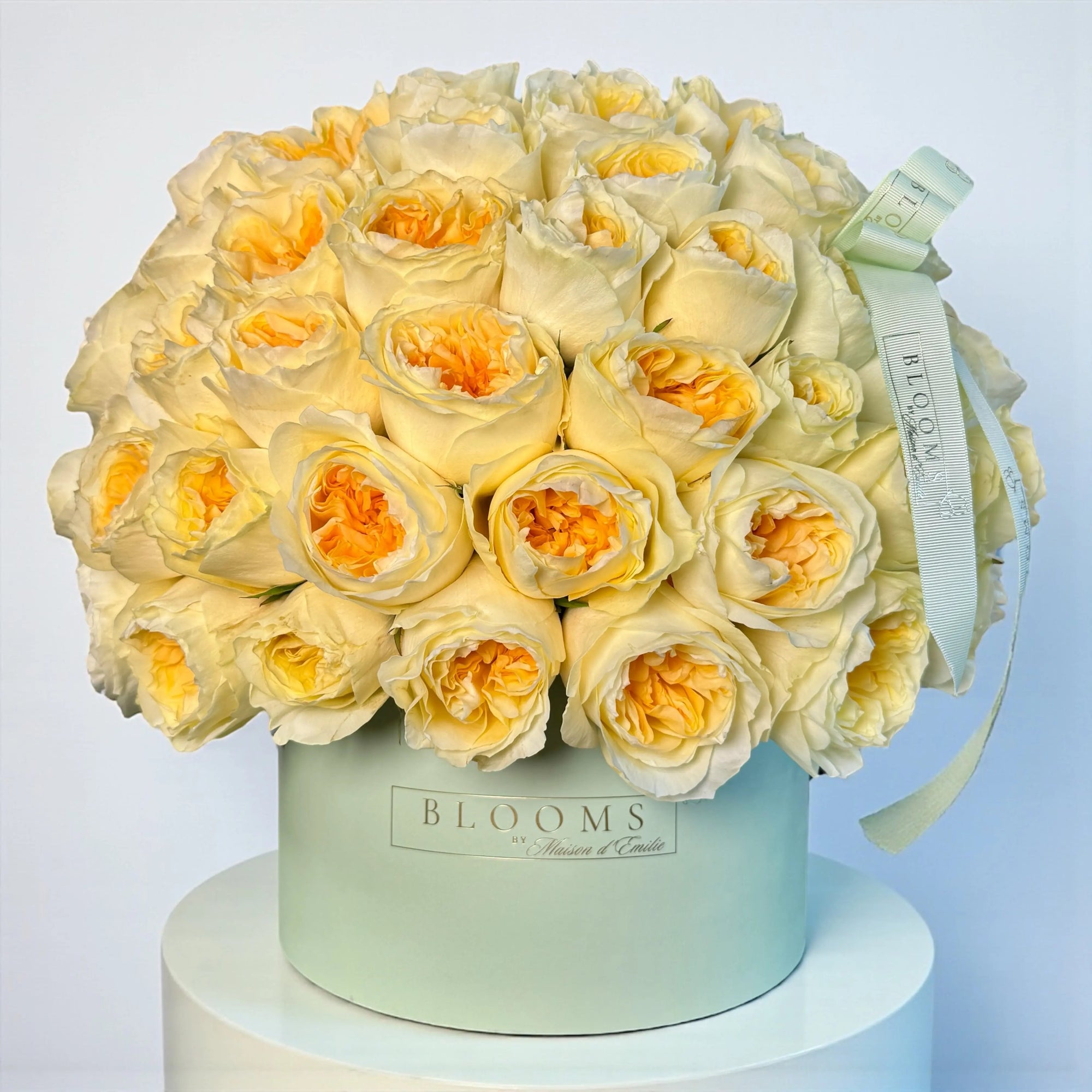 Golden Hour Roses Box