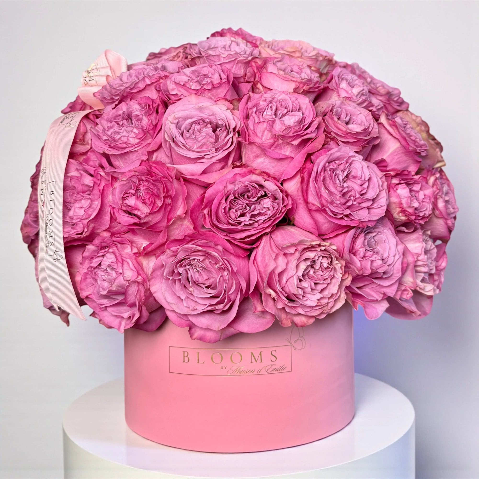 Pink Majesty Roses Box