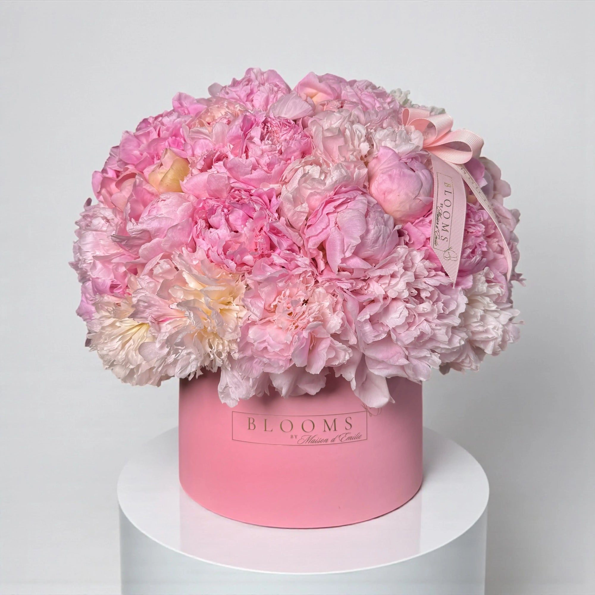 Pink Cloud Peony Dome