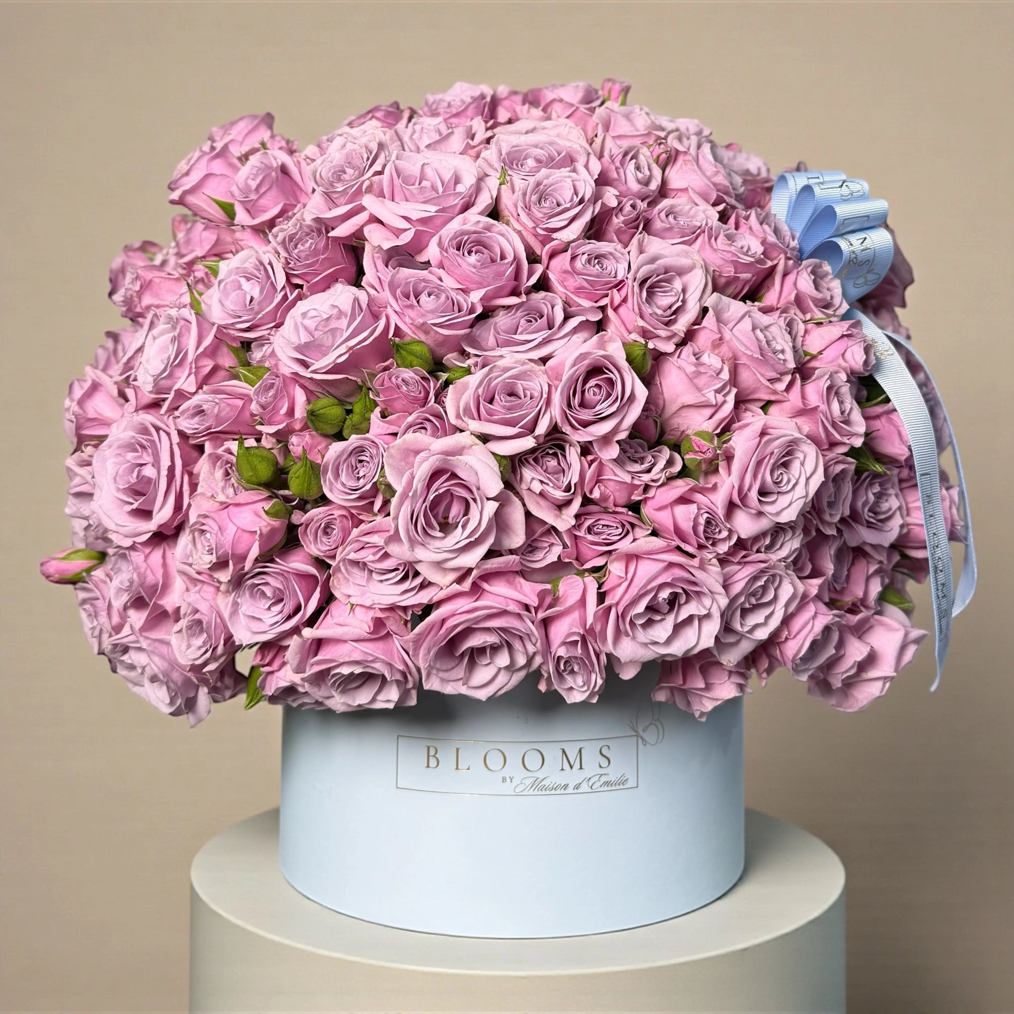 Lavender Cloud Bloom Box