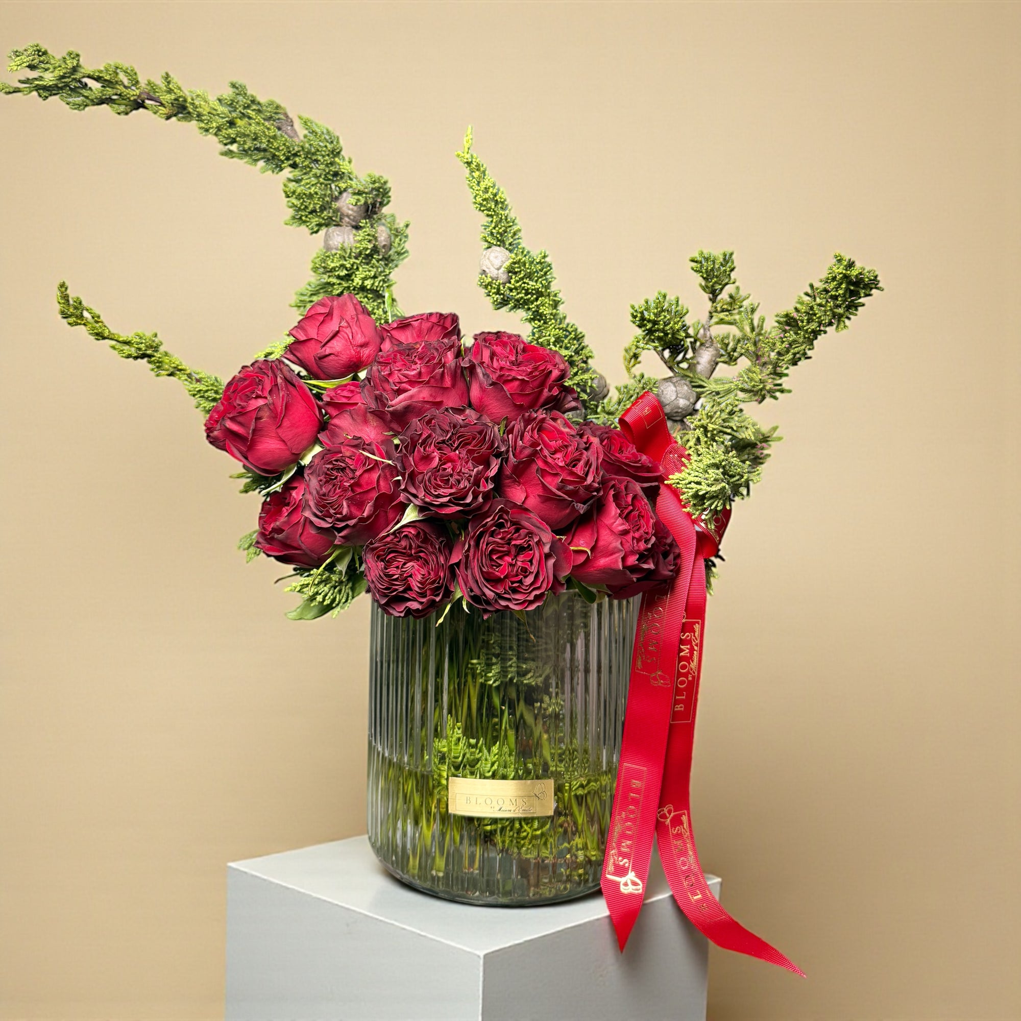 The Winter Rose Column