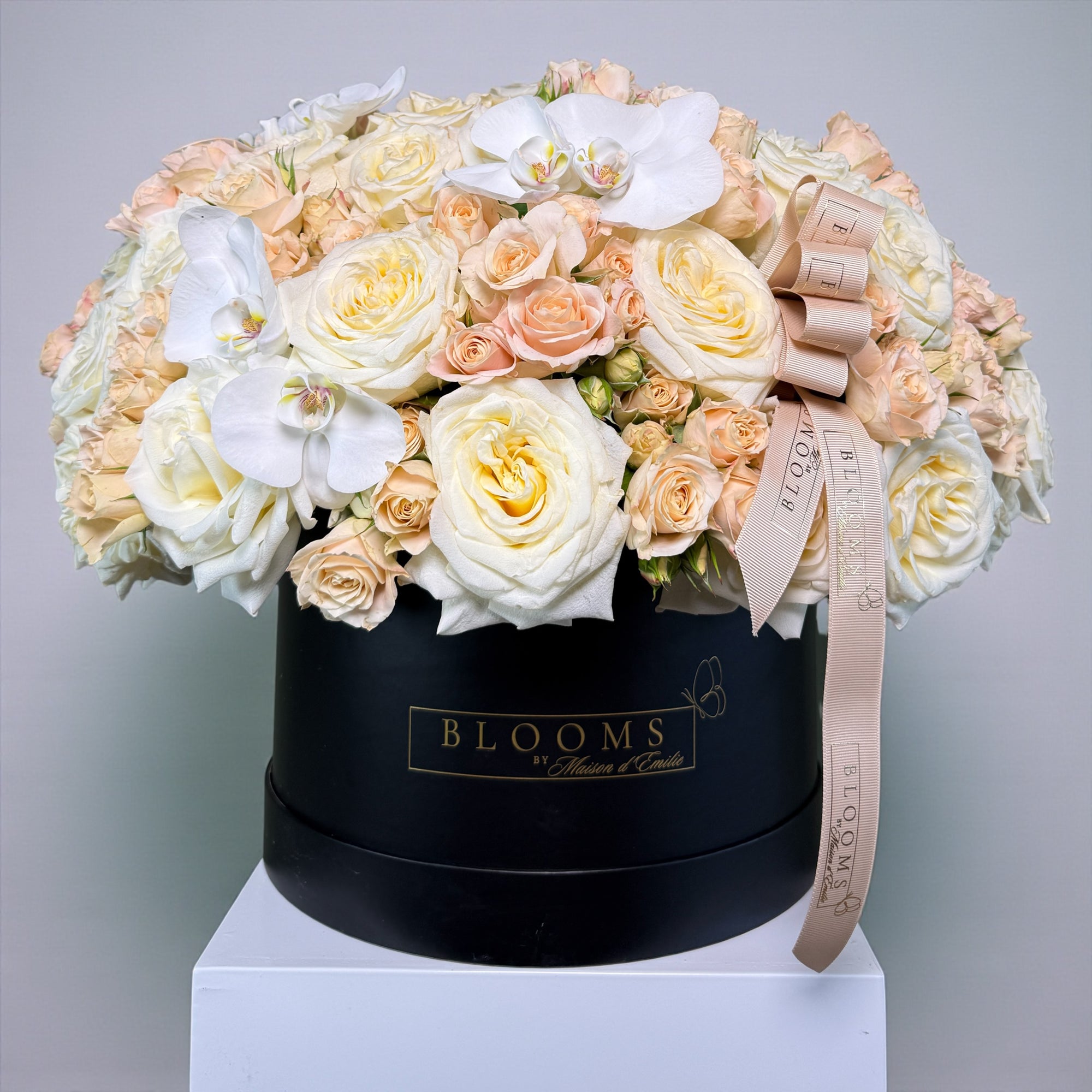Ivory Blush Orchid Signature