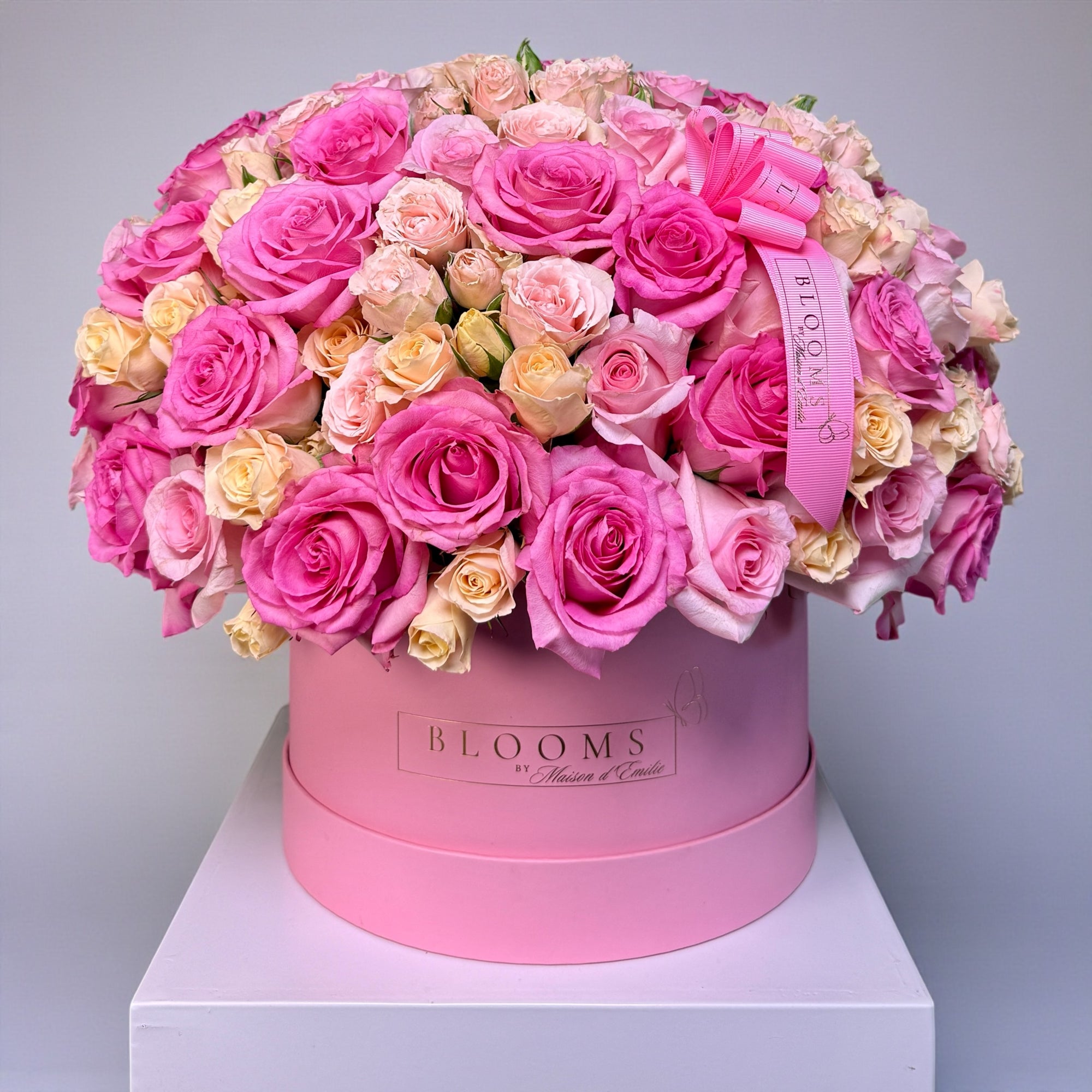 Blush Symphony Signature