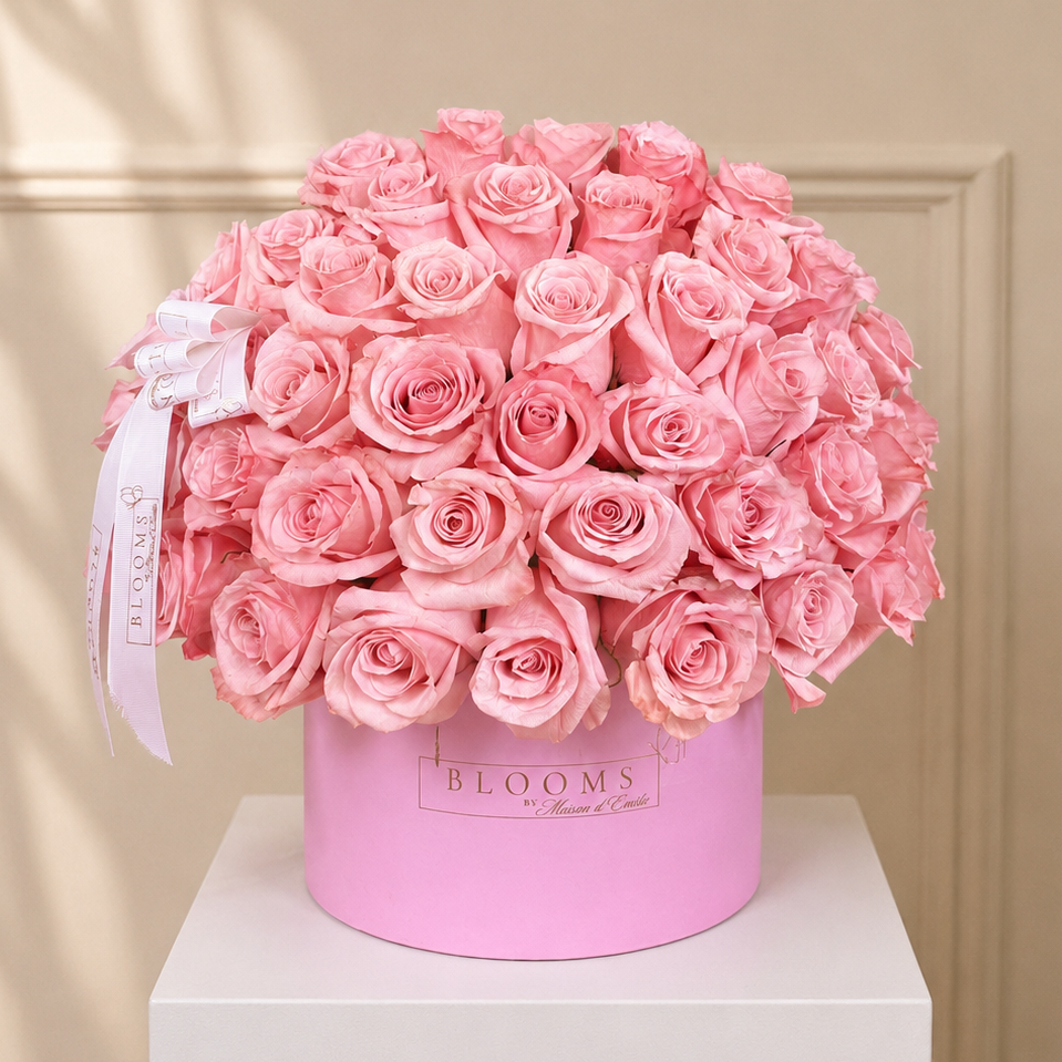 Rose Blush