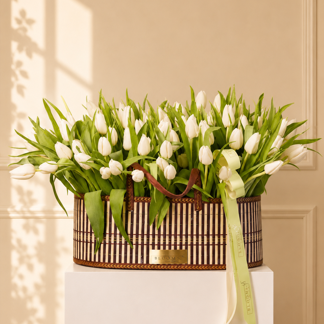 Ivory Tulip Edit